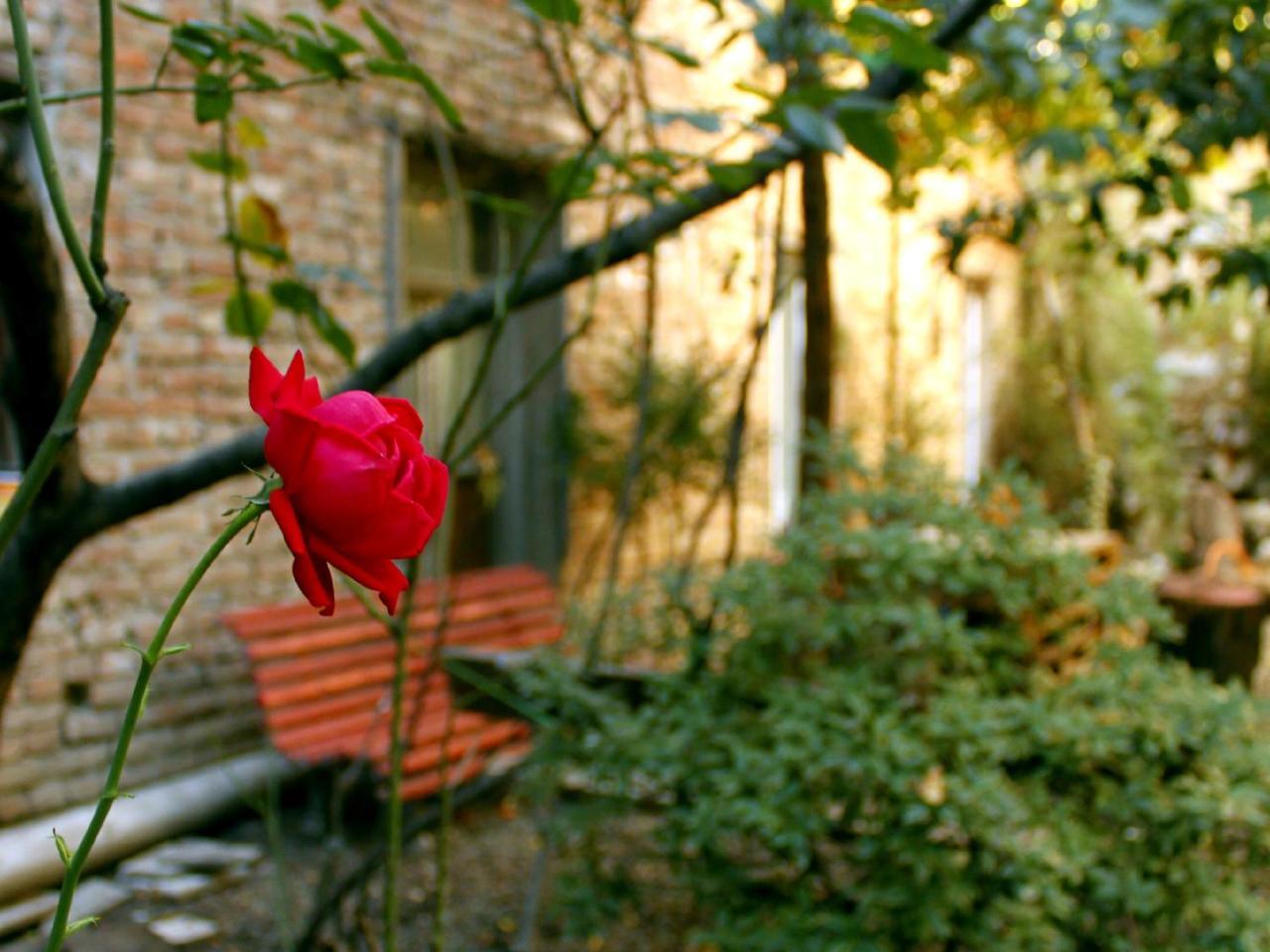 Colors Hostel Tbilisi Exterior foto